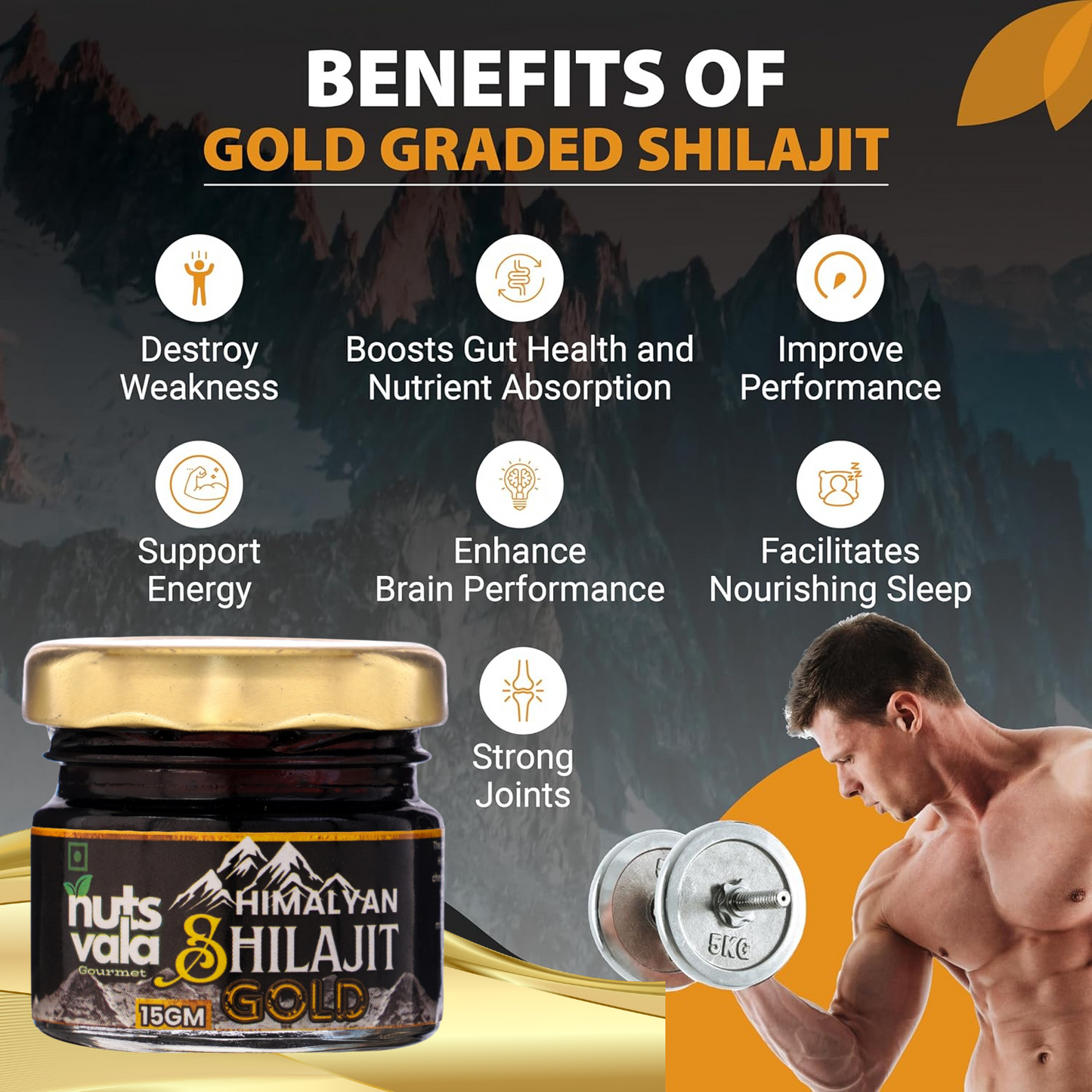 Premium Himalayan Shilajit Resin Form