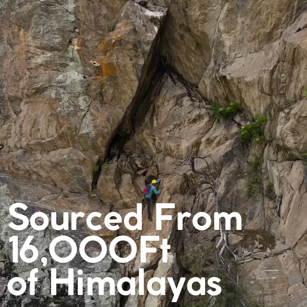 Premium Himalayan Shilajit Resin Form