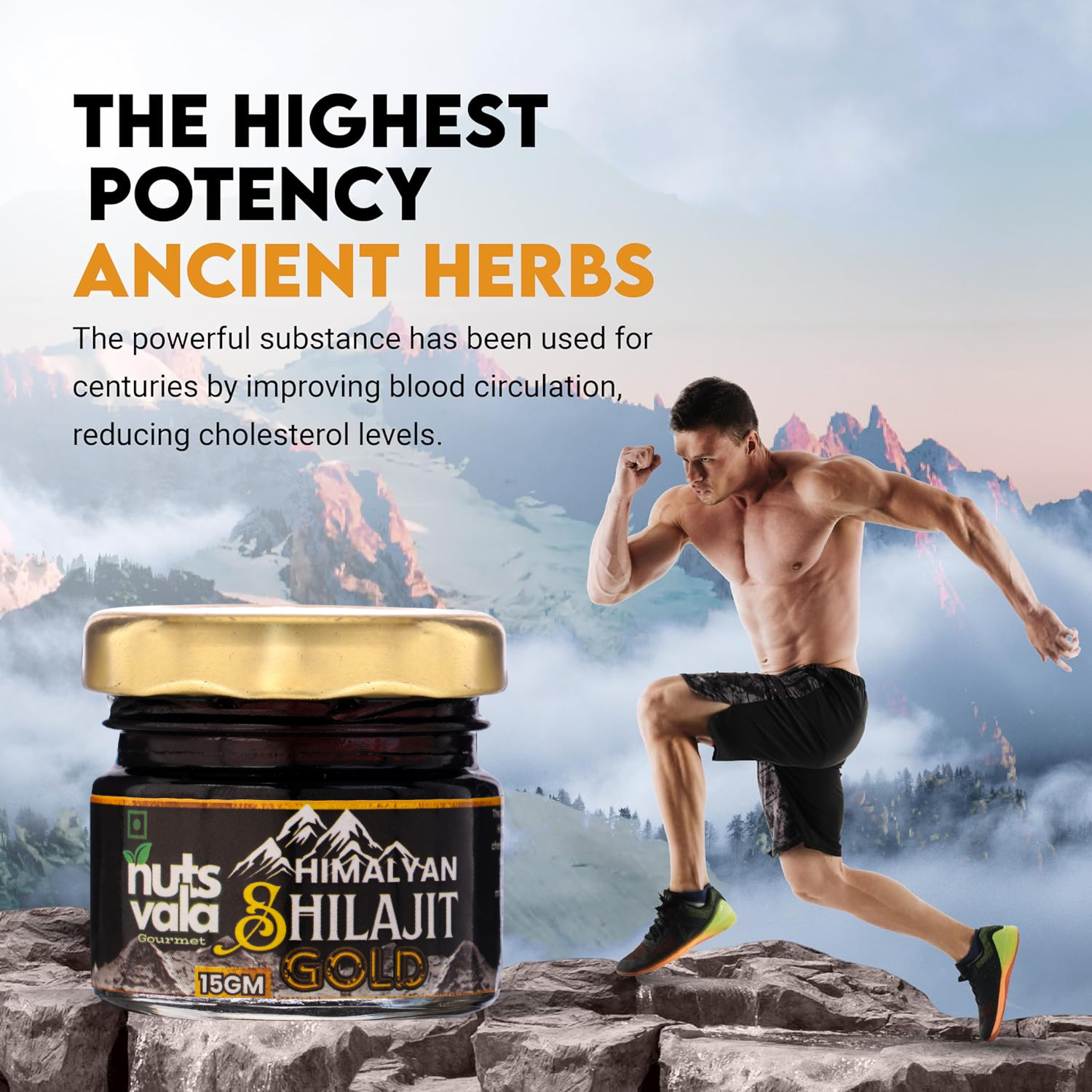 Premium Himalayan Shilajit Resin Form